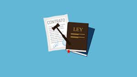 ¿Qué dice la Ley sobre los contratos de seguro?