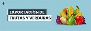 Guía completa: Cómo exportar frutas, verduras y hortalizas desde Brasil a Europa 