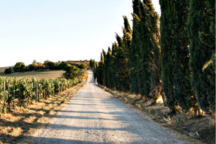 Noti- Deporte: La geometría de una bici de gravel vs. carretera Noti- Deporte: La geometría de una bici de gravel vs. carretera