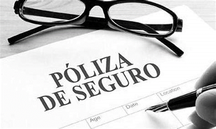 Introducci&oacute;n a los diferentes tipos de p&oacute;lizas de seguros por Hjalmar Gibelli - Hjalmar Gibelli