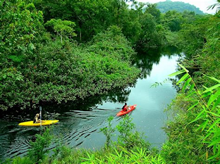 El ecoturismo y c&oacute;mo se puede disfrutar de la naturaleza de manera responsable y sostenible