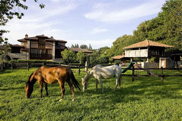 Turismo rural y cómo se puede apoyar a las comunidades locales a través del turismo