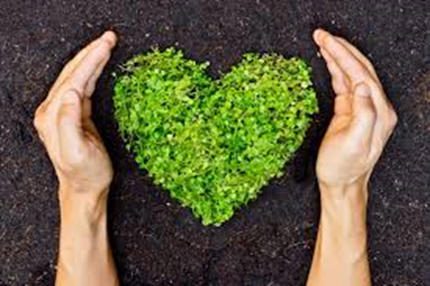 Cuales son las Acciones colectivas para cuidar el medio ambiente &ndash; Fundaci&oacute;n Yammine