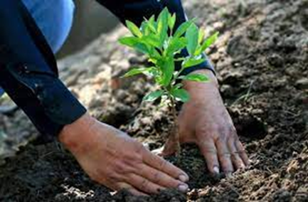 7 formas sencillas para proteger el medio ambiente 7 formas sencillas para proteger el medio ambiente