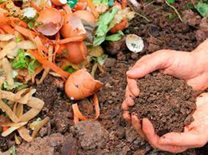 7 formas sencillas para proteger el medio ambiente 7 formas sencillas para proteger el medio ambiente