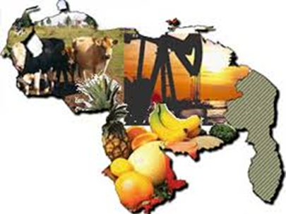 Camilo Ibrahim Issa | &iquest;Conoces cu&aacute;l es la importancia del comercio en Venezuela?