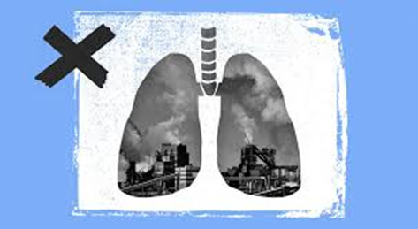 Los efectos de la contaminaci&oacute;n del aire en la salud y c&oacute;mo reducir la exposici&oacute;n a la misma &ndash; Fundaci&oacute;n Yammine