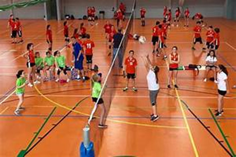 Estrategias para la detecci&oacute;n de talentos deportivos en el voleibol