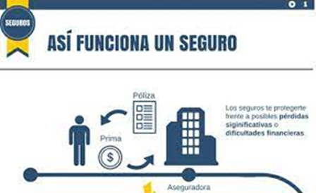 &iquest;Qu&eacute; son las aseguradoras y c&oacute;mo funciona?