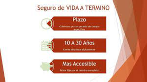 Tipos de Pólizas de Seguros de Vida: ¿Cuál es la Mejor para Ti? - Hjalmar Gibelli Tipos de Pólizas de Seguros de Vida: ¿Cuál es la Mejor para Ti? - Hjalmar Gibelli