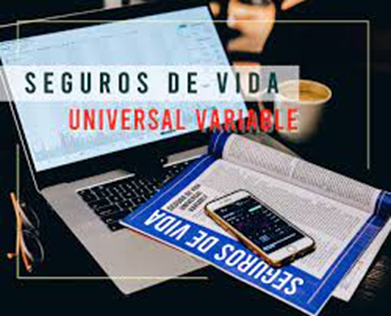 Tipos de Pólizas de Seguros de Vida: ¿Cuál es la Mejor para Ti? - Hjalmar Gibelli Tipos de Pólizas de Seguros de Vida: ¿Cuál es la Mejor para Ti? - Hjalmar Gibelli