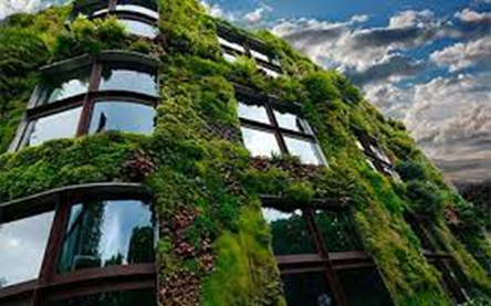 Los beneficios de las fachadas verdes: Un enfoque sostenible para mejorar los edificios Los beneficios de las fachadas verdes: Un enfoque sostenible para mejorar los edificios