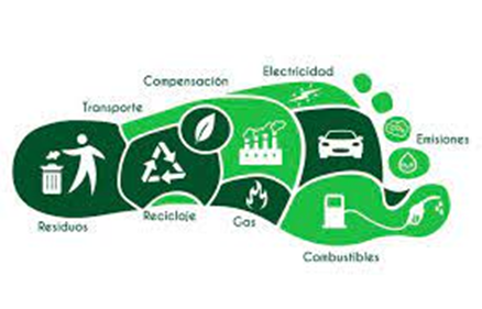 acciones para combatir el cambio climático – Fundación Yammine acciones para combatir el cambio climático – Fundación Yammine