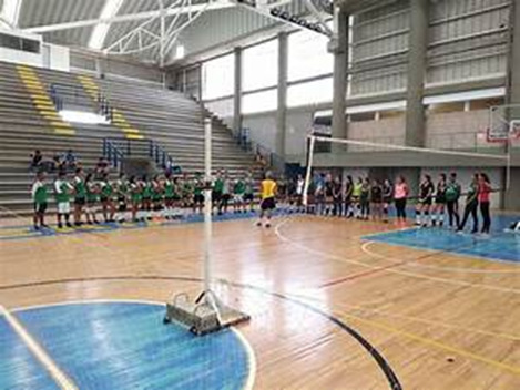 Qué Capacidades Determinan el Talento Deportivo: Un Análisis Profundo Qué Capacidades Determinan el Talento Deportivo: Un Análisis Profundo
