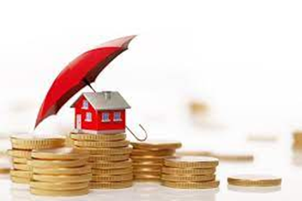 Tipos de seguros ofrecidos por las aseguradoras y cómo elegir el más adecuado para tu negocio - Hjalmar Gibelli Tipos de seguros ofrecidos por las aseguradoras y cómo elegir el más adecuado para tu negocio - Hjalmar Gibelli