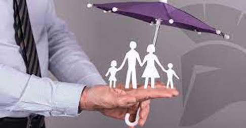 Tipos de seguros ofrecidos por las aseguradoras y cómo elegir el más adecuado para tu negocio - Hjalmar Gibelli Tipos de seguros ofrecidos por las aseguradoras y cómo elegir el más adecuado para tu negocio - Hjalmar Gibelli