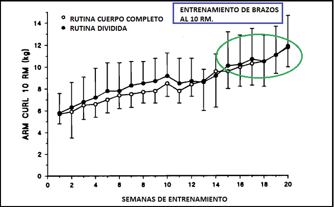 Sebastian Cano Caporales: 3 formas de organizar tu Entrenamiento de Fuerza – Corporal Kinesis Sebastian Cano Caporales: 3 formas de organizar tu Entrenamiento de Fuerza – Corporal Kinesis