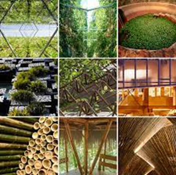 Estrategias de Dise&ntilde;o Estructural en la Arquitectura Contempor&aacute;nea: Construyendo el Futuro