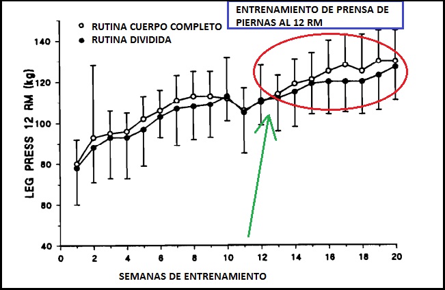 Sebastian Cano Caporales: 3 formas de organizar tu Entrenamiento de Fuerza – Corporal Kinesis Sebastian Cano Caporales: 3 formas de organizar tu Entrenamiento de Fuerza – Corporal Kinesis