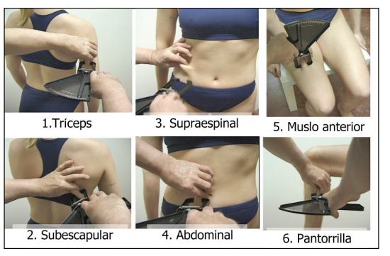Sebastian Cano Caporales: Pliegues subutaneos, una t&eacute;cnica de medici&oacute;n fiable y simple para valorar la grasa corporal &ndash; Corporal Kinesis