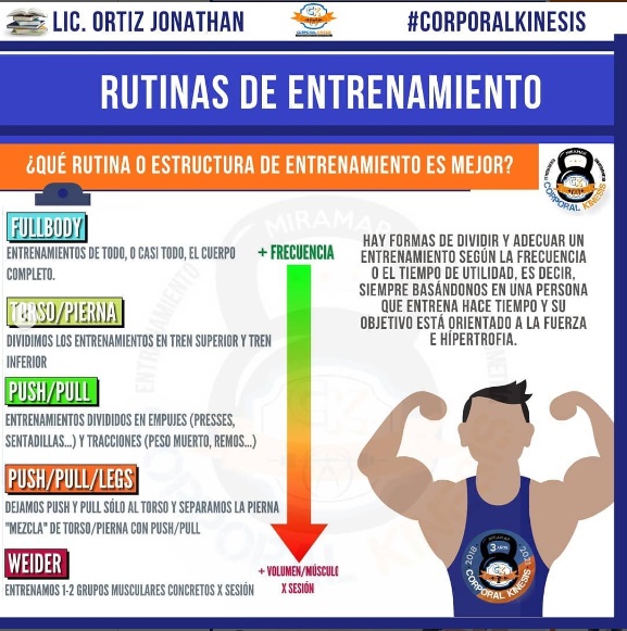 Sebastian Cano Caporales: 3 formas de organizar tu Entrenamiento de Fuerza – Corporal Kinesis Sebastian Cano Caporales: 3 formas de organizar tu Entrenamiento de Fuerza – Corporal Kinesis