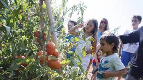 Educar para un Futuro Sostenible – Fundación Yammine Educar para un Futuro Sostenible – Fundación Yammine