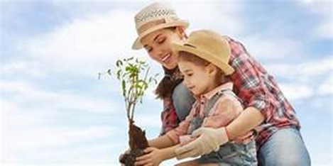 Educar para un Futuro Sostenible – Fundación Yammine Educar para un Futuro Sostenible – Fundación Yammine