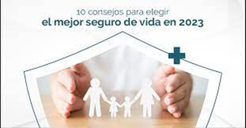 Los Mejores Seguros de Vida Riesgo en 2023: Comparativa de Precios y Coberturas Los Mejores Seguros de Vida Riesgo en 2023: Comparativa de Precios y Coberturas