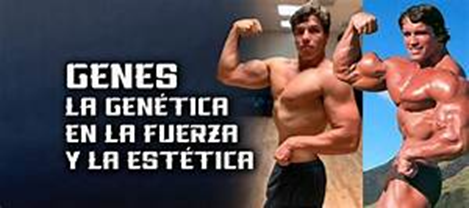 Puede la genética predecir el talento deportivo: Explorando la influencia genética en el rendimiento atlético Puede la genética predecir el talento deportivo: Explorando la influencia genética en el rendimiento atlético