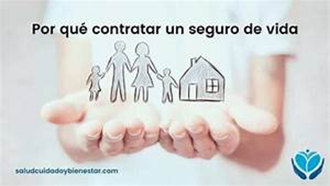 5 seguros indispensables para proteger a tu familia en cualquier situación - Hjalmar Gibelli 5 seguros indispensables para proteger a tu familia en cualquier situación - Hjalmar Gibelli