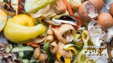 Cómo Reducir el Desperdicio de Alimentos y Contribuir a la Seguridad Alimentaria Cómo Reducir el Desperdicio de Alimentos y Contribuir a la Seguridad Alimentaria