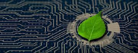 Un futuro sostenible en tus manos – Fundación Yammine Un futuro sostenible en tus manos – Fundación Yammine