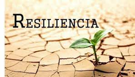 Una solución sostenible para el futuro Una solución sostenible para el futuro