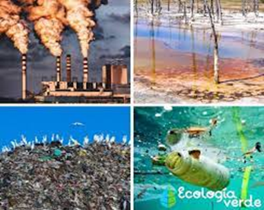 Derrames de Petr&oacute;leo: Consecuencias Ambientales y Socioecon&oacute;micas