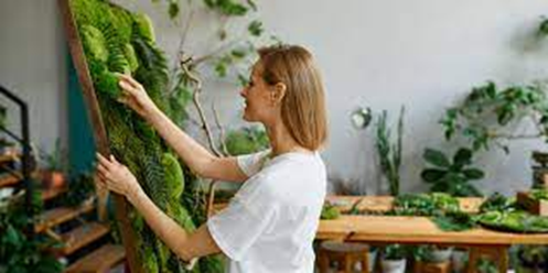 C&oacute;mo Transformar Espacios con Paisajismo: La Magia de la Naturaleza en tu Hogar