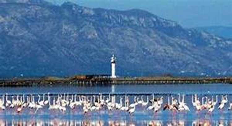 Parque Natural del Delta del Ebro: Sum&eacute;rgete en la Sugesti&oacute;n de la Naturaleza