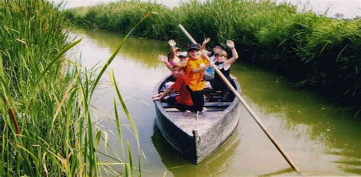 Parque Natural del Delta del Ebro: Sum&eacute;rgete en la Sugesti&oacute;n de la Naturaleza
