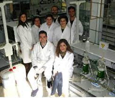 Investigaci&oacute;n y Desarrollo: La Gallinaza Compostada como Abono Org&aacute;nico de Calidad