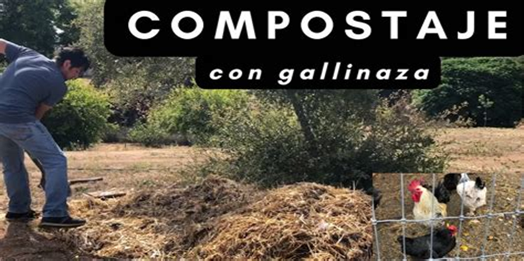 Investigaci&oacute;n y Desarrollo: La Gallinaza Compostada como Abono Org&aacute;nico de Calidad