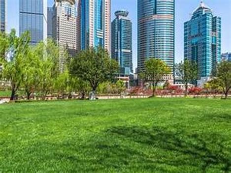 Rodear las Ciudades con Bosques: Una Soluci&oacute;n Urbana para un Futuro Sostenible&nbsp;