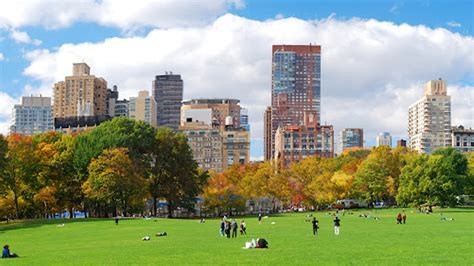 Rodear las Ciudades con Bosques: Una Soluci&oacute;n Urbana para un Futuro Sostenible&nbsp;