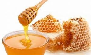 Todos los Usos de la Miel en Gastronom&iacute;a que no Conoc&iacute;as y las Incre&iacute;bles Propiedades de este Alimento&nbsp;