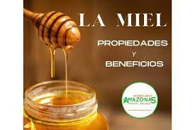 Todos los Usos de la Miel en Gastronom&iacute;a que no Conoc&iacute;as y las Incre&iacute;bles Propiedades de este Alimento&nbsp;