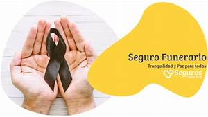 Seguros funerarios: qu&eacute; son y c&oacute;mo funcionan para brindar tranquilidad en momentos dif&iacute;ciles&nbsp;