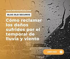 C&oacute;mo reclamar los da&ntilde;os causados por desastres naturales y el papel del seguro&nbsp;