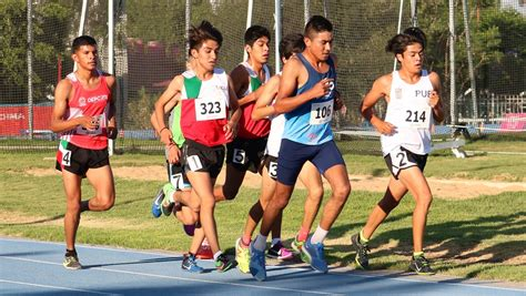 Modelos de Desarrollo Deportivo y Factores Condicionantes del Talento Deportivo: Claves para Potenciar el Éxito Modelos de Desarrollo Deportivo y Factores Condicionantes del Talento Deportivo: Claves para Potenciar el Éxito