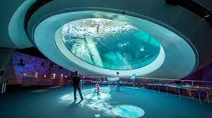 Descubre 8 Museos en Miami que Ofrecen D&iacute;as de Entrada Gratuita&nbsp;
