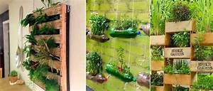 C&oacute;mo construir un jard&iacute;n vertical casero paso a paso: Una soluci&oacute;n verde para espacios reducidos&nbsp;