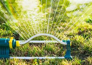 C&oacute;mo construir un jard&iacute;n vertical casero paso a paso: Una soluci&oacute;n verde para espacios reducidos&nbsp;