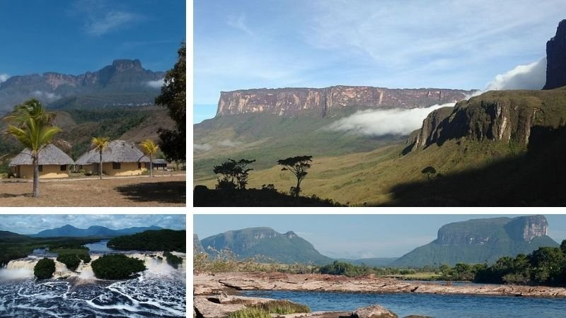 Descubriendo la exuberante vegetaci&oacute;n del Parque Canaima&nbsp;